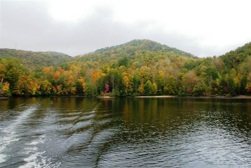 Bear Lake Reserve Real Estate For Sale in Tuckasegee, NC